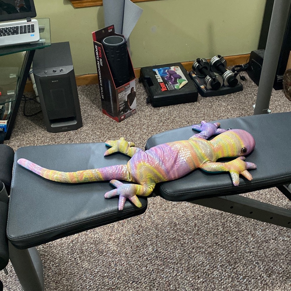 Extra large Rainbow/multicolor shiny beanie lizard-custom hand-made